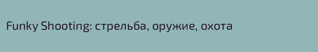 Funky Shooting: стрельба, оружие, охота